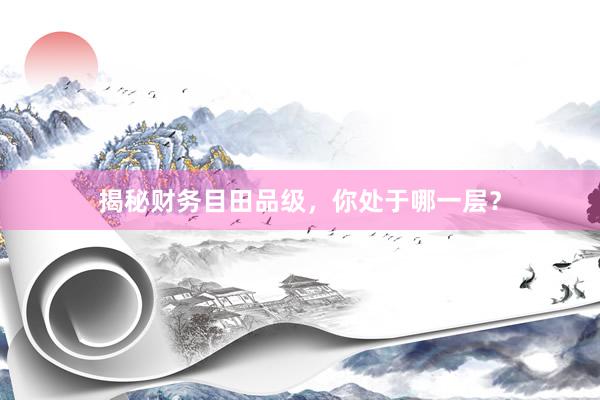 揭秘财务目田品级，你处于哪一层？