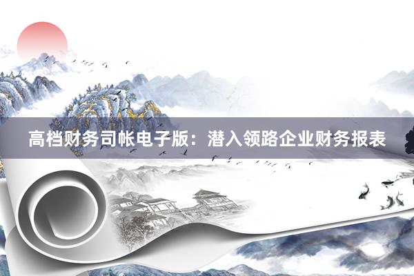 高档财务司帐电子版：潜入领路企业财务报表