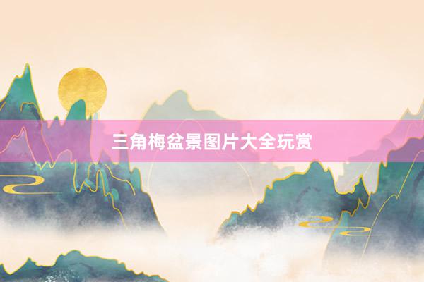 三角梅盆景图片大全玩赏